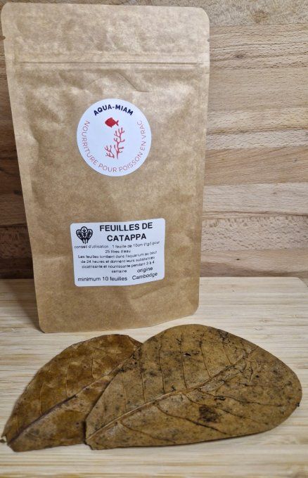 FEUILLES DE CATAPPA X10